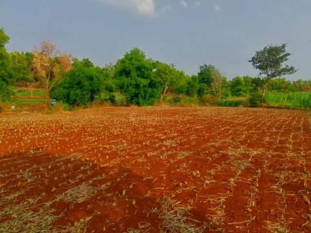 Residential Plot in Panvel for resale Navi Mumbai. The reference number is 20548850