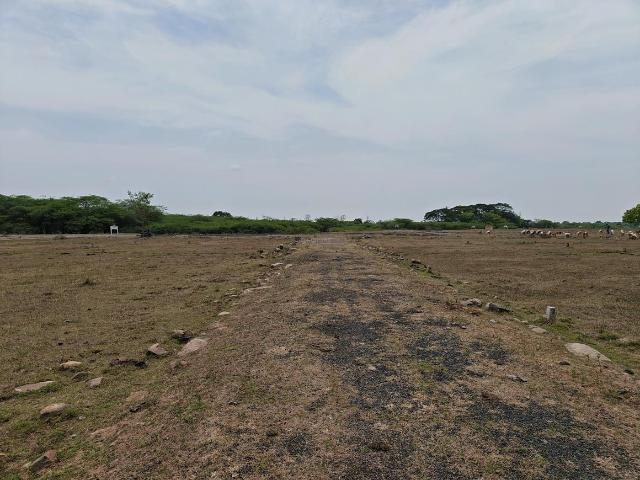 Residential Plot in Paranur for resale Chennai. The reference number is 20027517