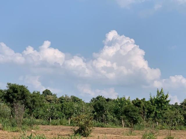 Residential Plot in Patancheru for resale Sangareddy. The reference number is 3999728
