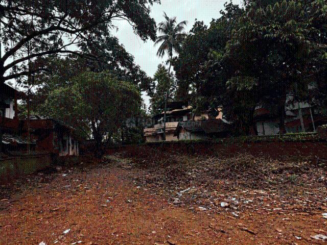 Residential Plot in Patturaikkal for resale Thrissur. The reference number is 20827922