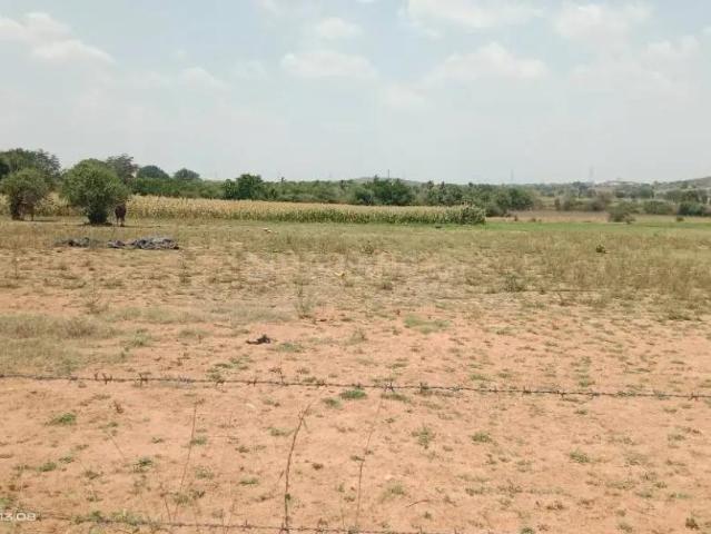 Residential Plot in Pen for resale Raigad. The reference number is 17279450