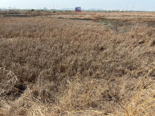 Residential Plot in Pen for resale Raigad. The reference number is 20169572