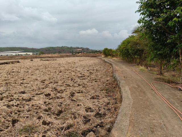 Residential Plot in Pen for resale Raigad. The reference number is 20309698