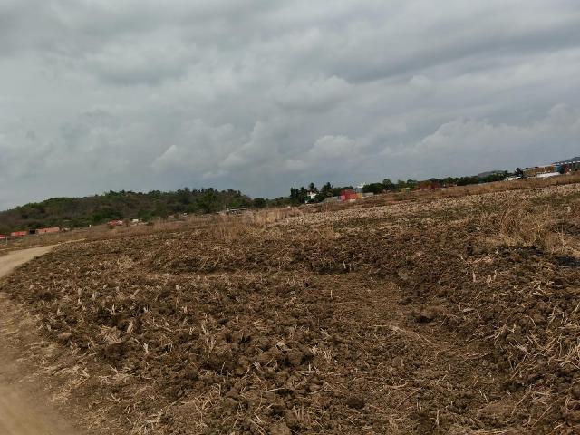 Residential Plot in Pen for resale Raigad. The reference number is 20309782