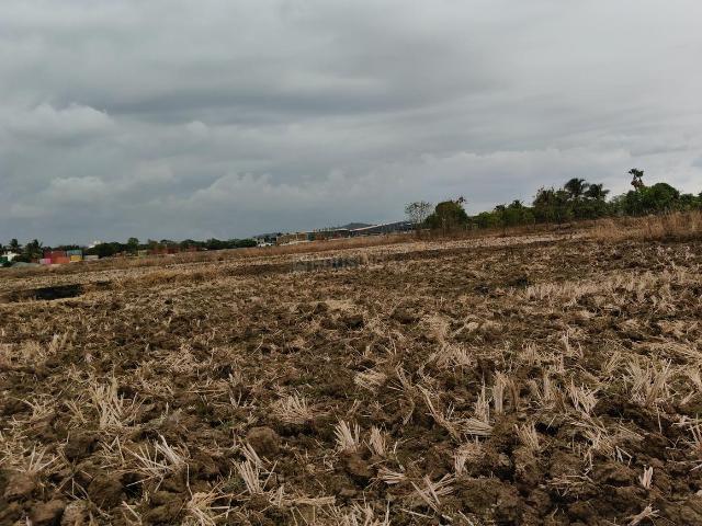 Residential Plot in Pen for resale Raigad. The reference number is 20309841