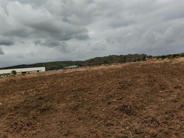 Residential Plot in Pen for resale Raigad. The reference number is 20309858
