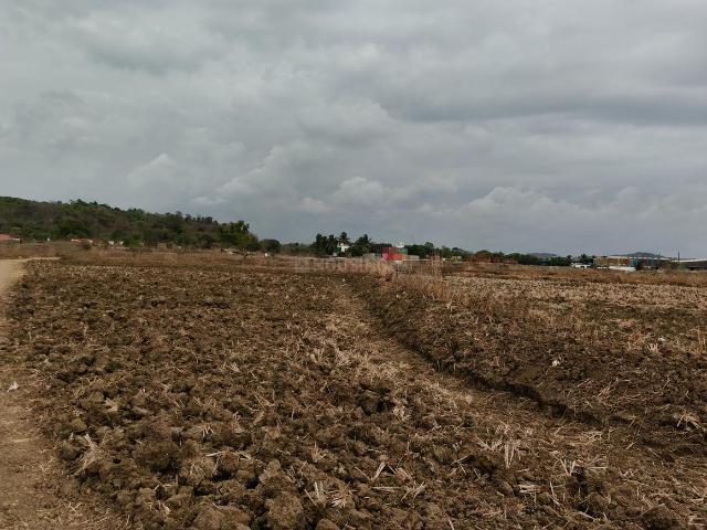 Residential Plot in Pen for resale Raigad. The reference number is 20310340
