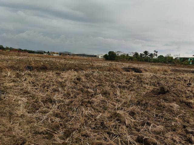 Residential Plot in Pen for resale Raigad. The reference number is 20468089