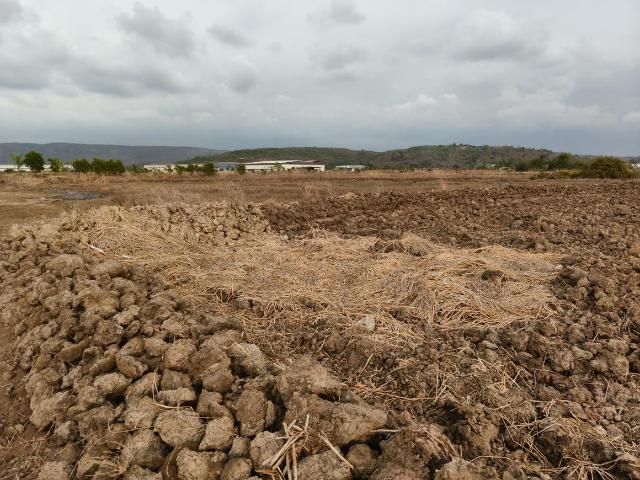 Residential Plot in Pen for resale Raigad. The reference number is 20468137