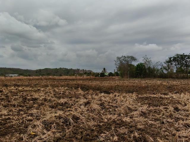 Residential Plot in Pen for resale Raigad. The reference number is 20667061