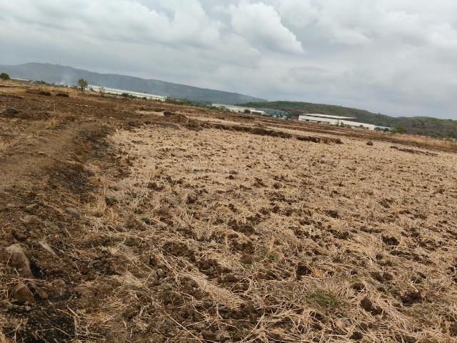 Residential Plot in Pen for resale Raigad. The reference number is 20667101