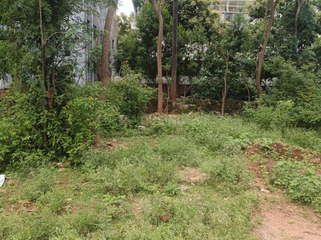Residential Plot in Pendurthi for resale Visakhapatnam. The reference number is 18080649