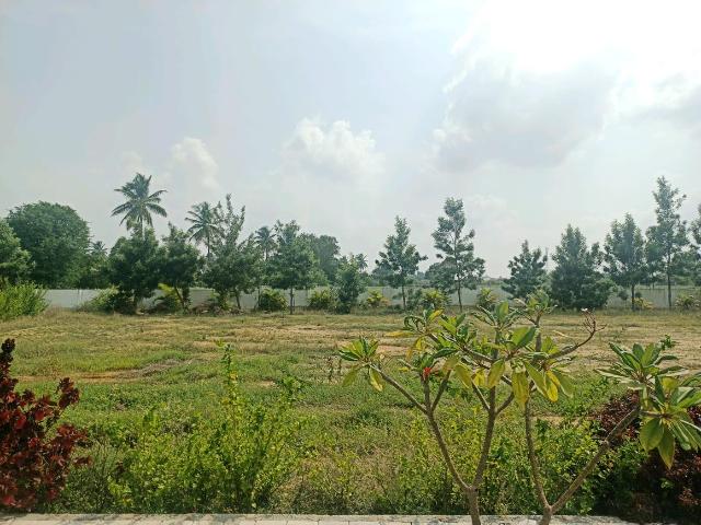 Residential Plot in Peresandra for resale Chikballapur District. The reference number is 12794783