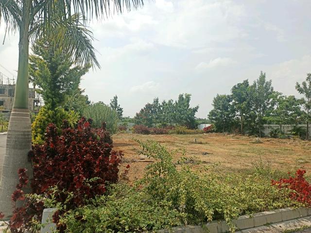 Residential Plot in Peresandra for resale Chikballapur District. The reference number is 12794838
