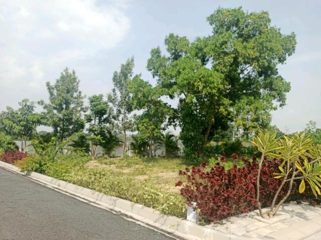 Residential Plot in Peresandra for resale Chikballapur District. The reference number is 12794974
