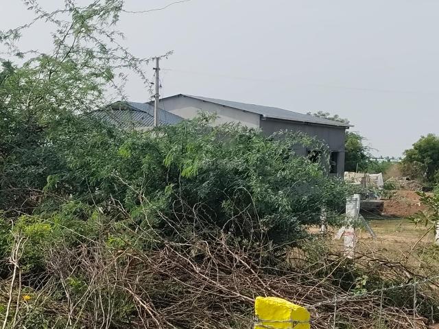Residential Plot in Periyanaickenpalayam for resale Coimbatore. The reference number is 20456050