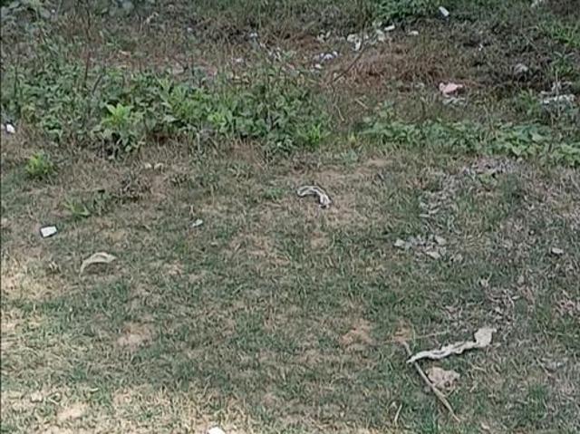 Residential Plot in Phaphamau for resale Allahabad. The reference number is 19708482