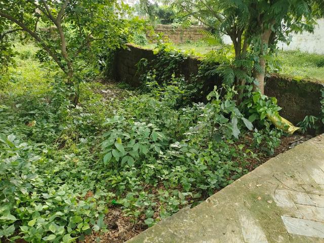 Residential Plot in Phulnakhara for resale Cuttack. The reference number is 20860168