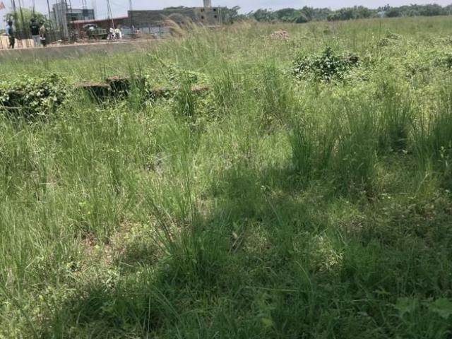 Residential Plot in Phulnakhara for resale Cuttack. The reference number is 20826725
