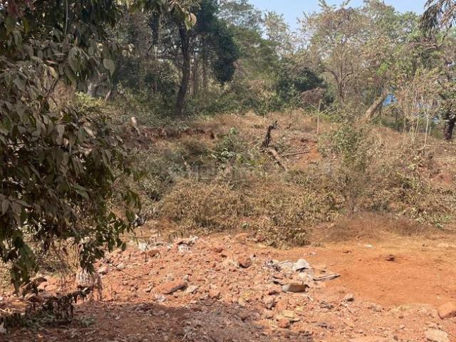 Residential Plot in Pilerne for resale Goa. The reference number is 19493699
