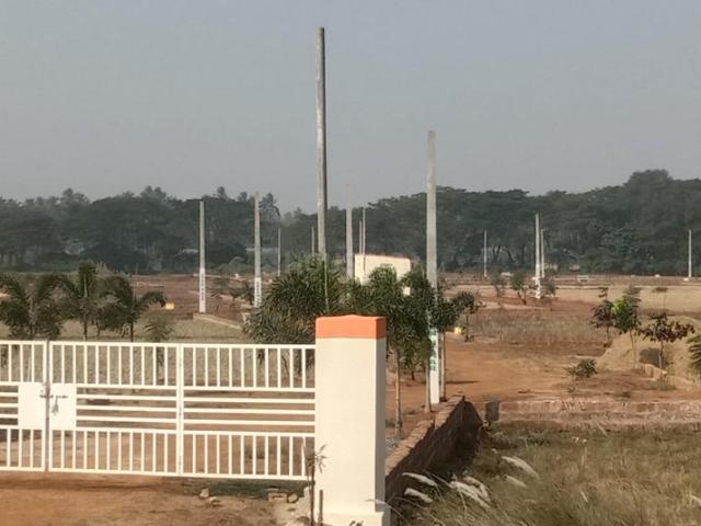 Residential Plot in Pipili for resale Puri. The reference number is 19891376
