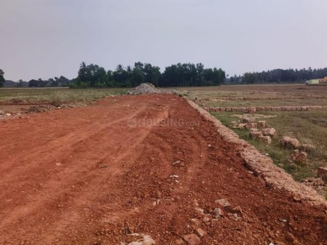 Residential Plot in Pipili for resale Puri. The reference number is 20505369