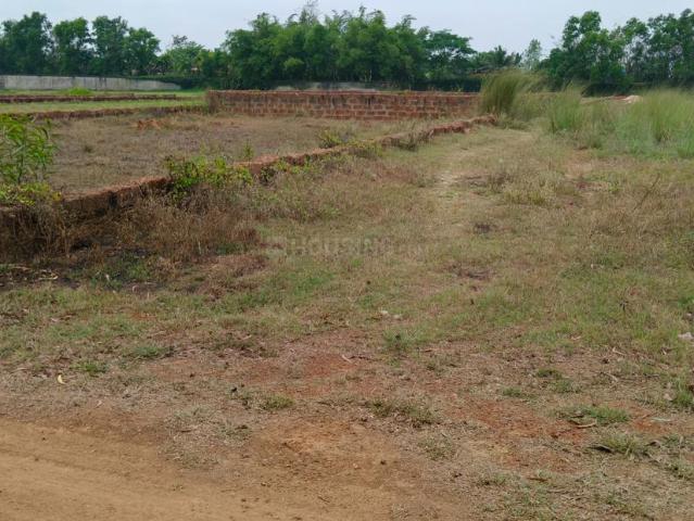 Residential Plot in Pipili for resale Puri. The reference number is 20368134