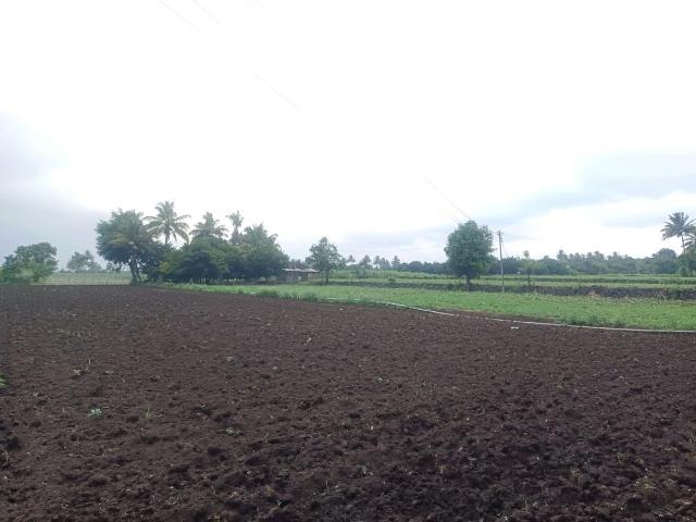 Residential Plot in Pirkone for resale Navi Mumbai. The reference number is 17871861