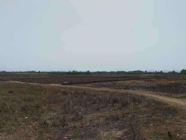 Residential Plot in Pirkone for resale Navi Mumbai. The reference number is 20517849