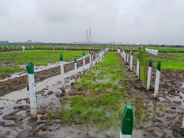 Residential Plot in Pirkone for resale Navi Mumbai. The reference number is 20752178