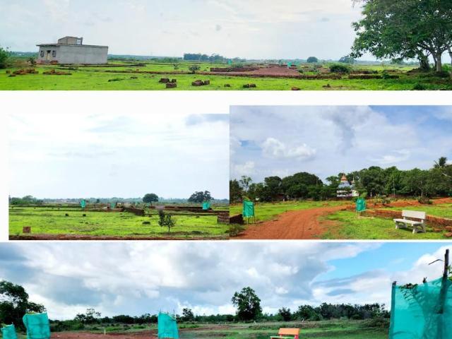 Residential Plot in Pitapalli for resale Bhubaneswar. The reference number is 16001551