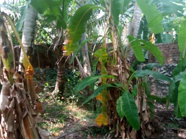 Residential Plot in Pongumoodu for resale Thiruvananthapuram. The reference number is 20784632