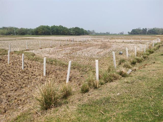Residential Plot in Prantik for resale Bolpur Santiniketan. The reference number is 10511259
