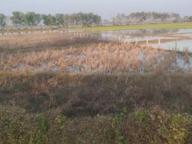 Residential Plot in Prantik for resale Bolpur Santiniketan. The reference number is 13869283