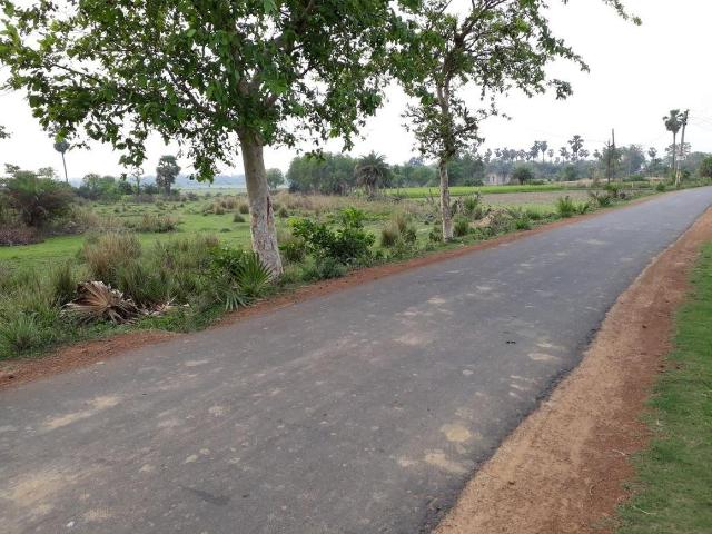 Residential Plot in Prantik for resale Bolpur Santiniketan. The reference number is 9736581