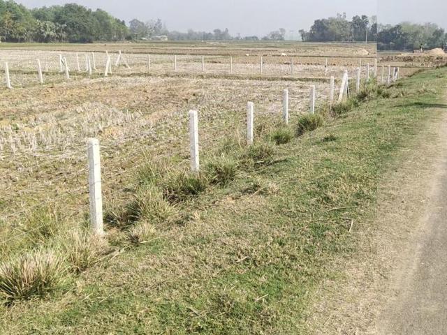 Residential Plot in Prantik for resale Bolpur Santiniketan. The reference number is 9852332