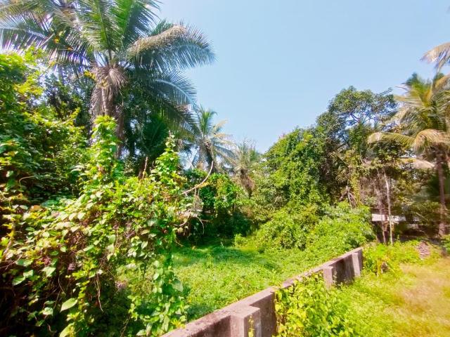 Residential Plot in Quepem for resale Goa. The reference number is 20380549