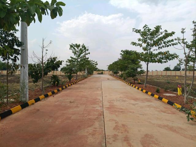 Residential Plot in Rudraram for resale Sangareddy. The reference number is 20311459