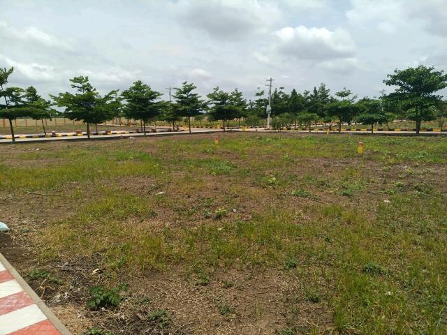 Residential Plot in Rudraram for resale Sangareddy. The reference number is 20726767