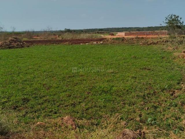 Residential Plot in Raghunathpur for resale Bhubaneswar. The reference number is 20125830