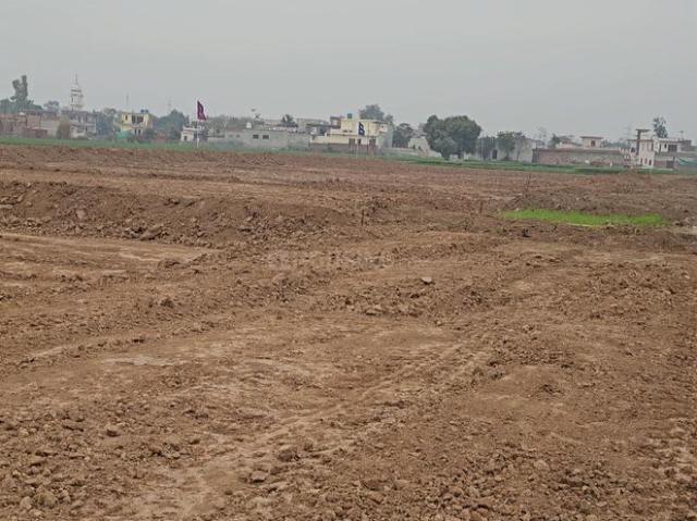 Residential Plot in Radiala for resale Mohali. The reference number is 17526894