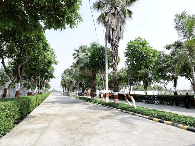 Residential Plot in Raebareli Town for resale Raebareli. The reference number is 18489884
