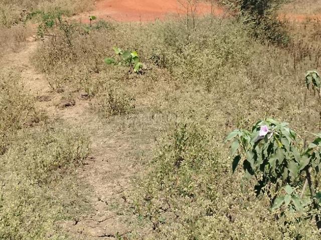 Residential Plot in Raipura for resale Raipur. The reference number is 19787127
