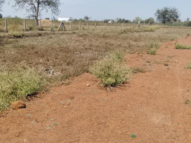 Residential Plot in Raipura for resale Raipur. The reference number is 19787190