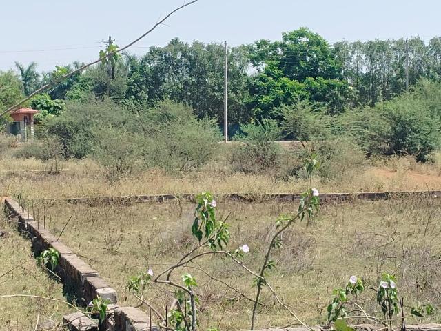 Residential Plot in Raipura for resale Raipur. The reference number is 19787235