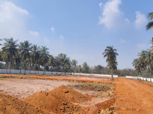 Residential Plot in Rajanagram for resale Rajahmundry. The reference number is 19324725