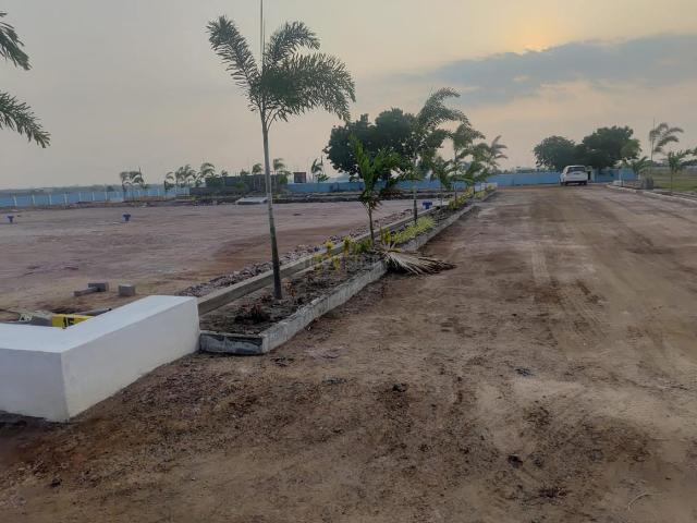 Residential Plot in Rajanagram for resale Rajahmundry. The reference number is 20300158