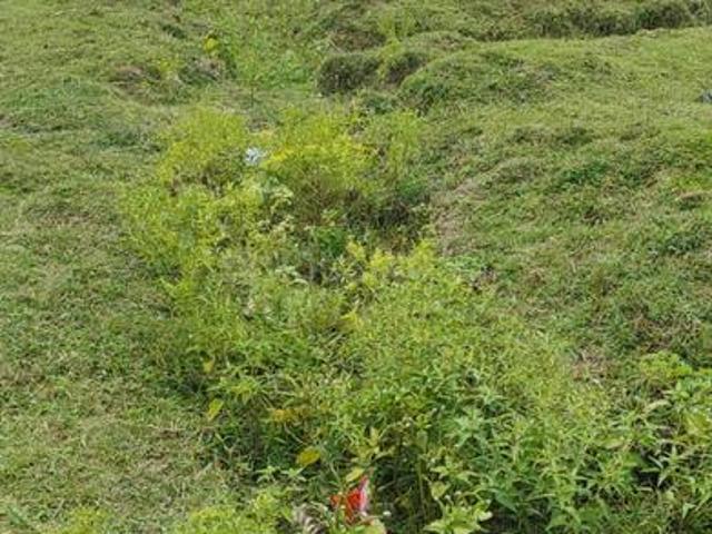 Residential Plot in Rajarhat for resale Kolkata. The reference number is 17842991