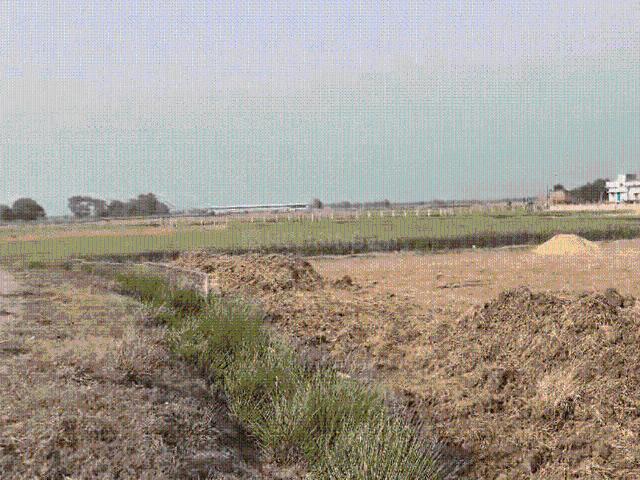 Residential Plot in Rajgir for resale Nalanda. The reference number is 20008776