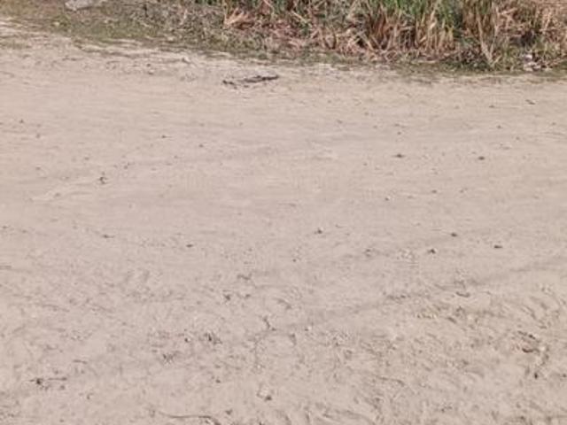 Residential Plot in Ram Nagar for resale Varanasi. The reference number is 20115582